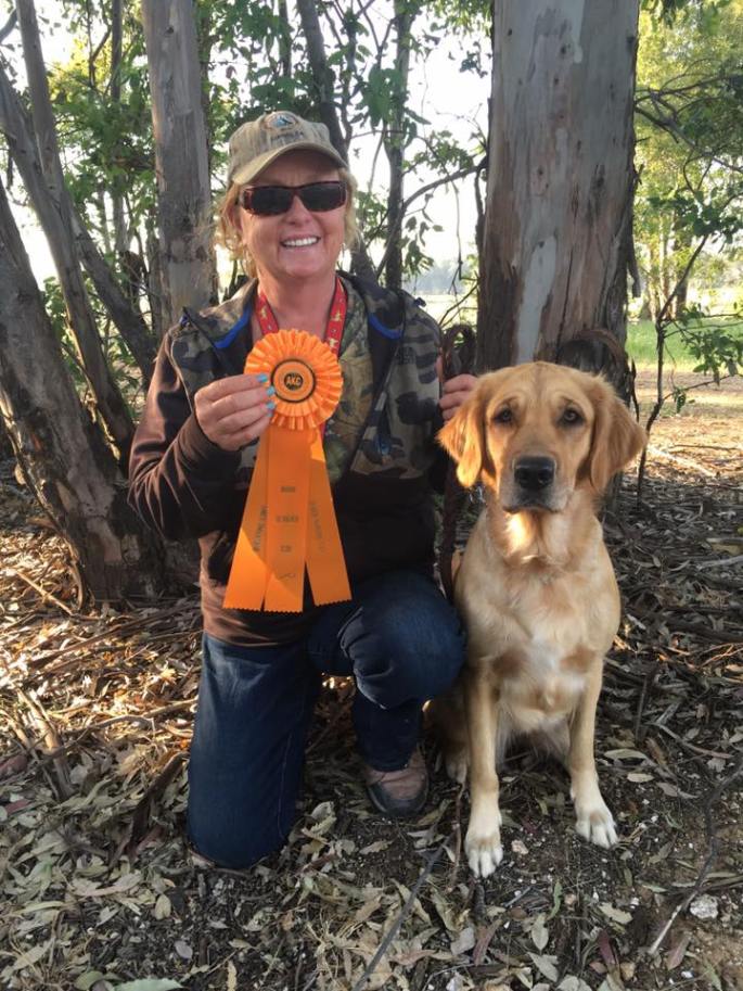 12932830_1167011149997535_3238631748475330632_n